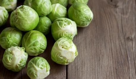 Brussell Sprouts